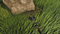 Lawn Mowing Simulator - Landmark Edition (Nintendo Switch) 4041417860722