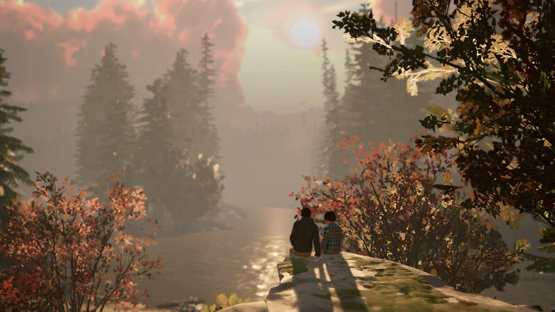 Life Is Strange 2 (CIAB) (Nintendo Switch) 5021290101630