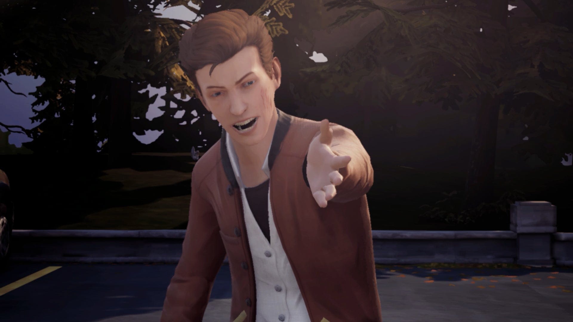 Life Is Strange - Arcadia Bay Collection (CIAB) (Nintendo Switch) 5021290101678