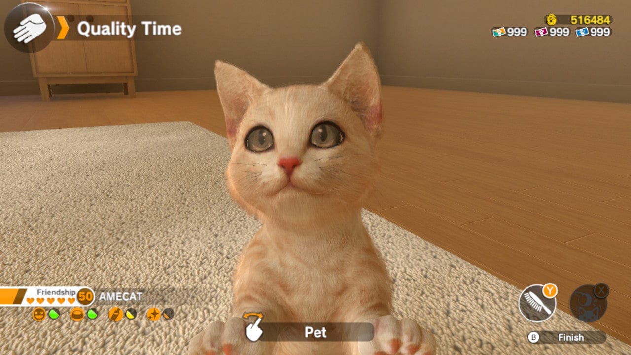 Little Friends Dogs & Cats (CIAB) (Nintendo Switch) 5056208826299