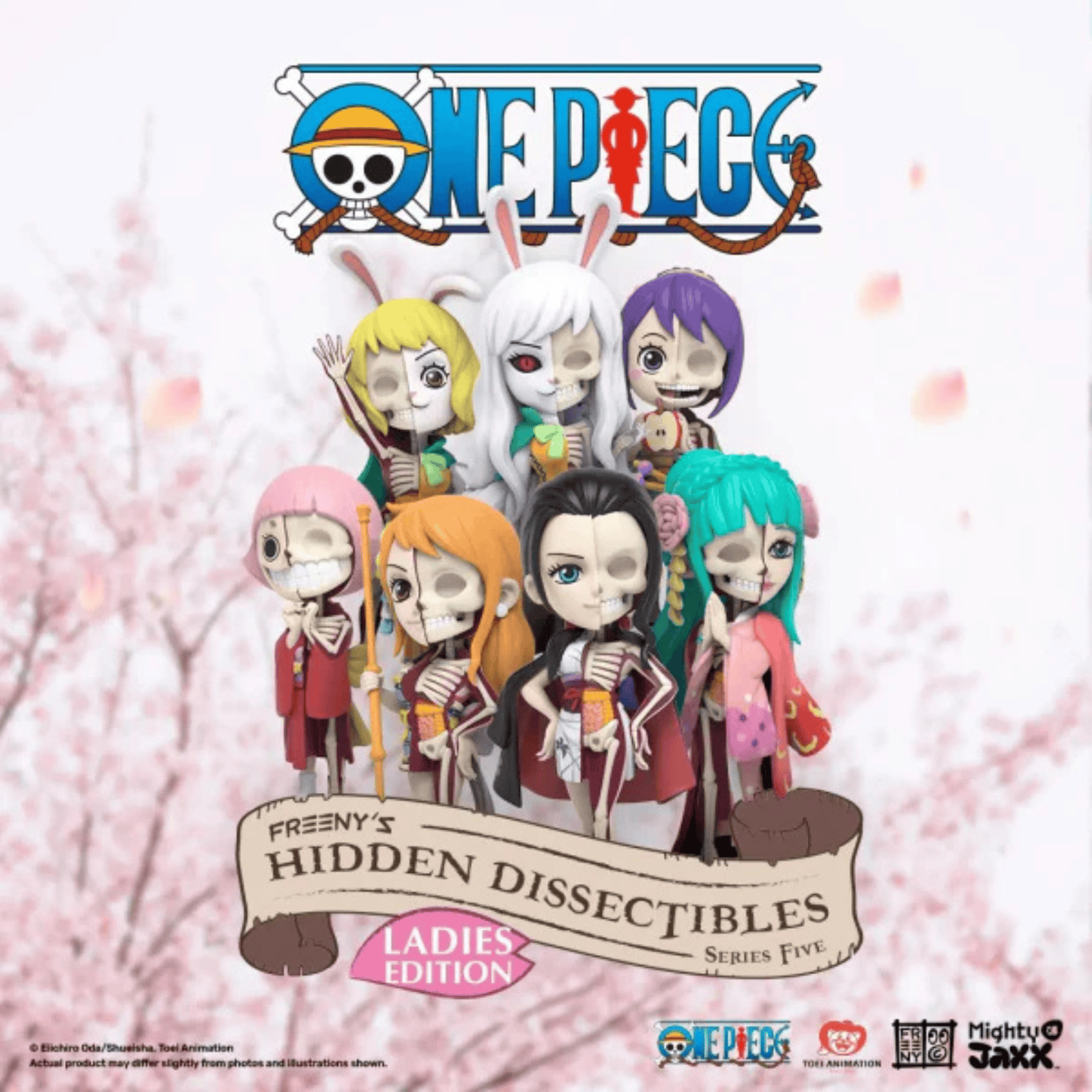 MIGHTY JAXX - FREENY’S HIDDEN DISSECTIBLES: ONE PIECE SERIES 5 (LADIES) figurice 631978818009
