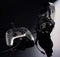 NACON PS4 REVOLUTION PRO V2 IGRALNI PLOŠČEK, RIG LIMITED EDITION - ODPRTA EMBALAŽA 3200000000360