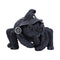 NEMESIS NOW ARACHNIAS figura 801269158682