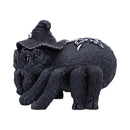 NEMESIS NOW ARACHNIAS figura 801269158682