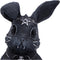 NEMESIS NOW BUNERIUS kipec 9,7CM 801269157258