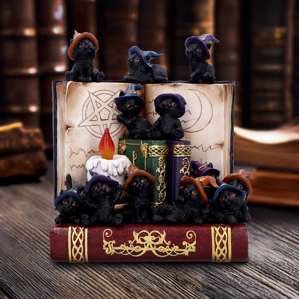 NEMESIS NOW COVEN KEEPERS ASSORTED figurica 8012699990045