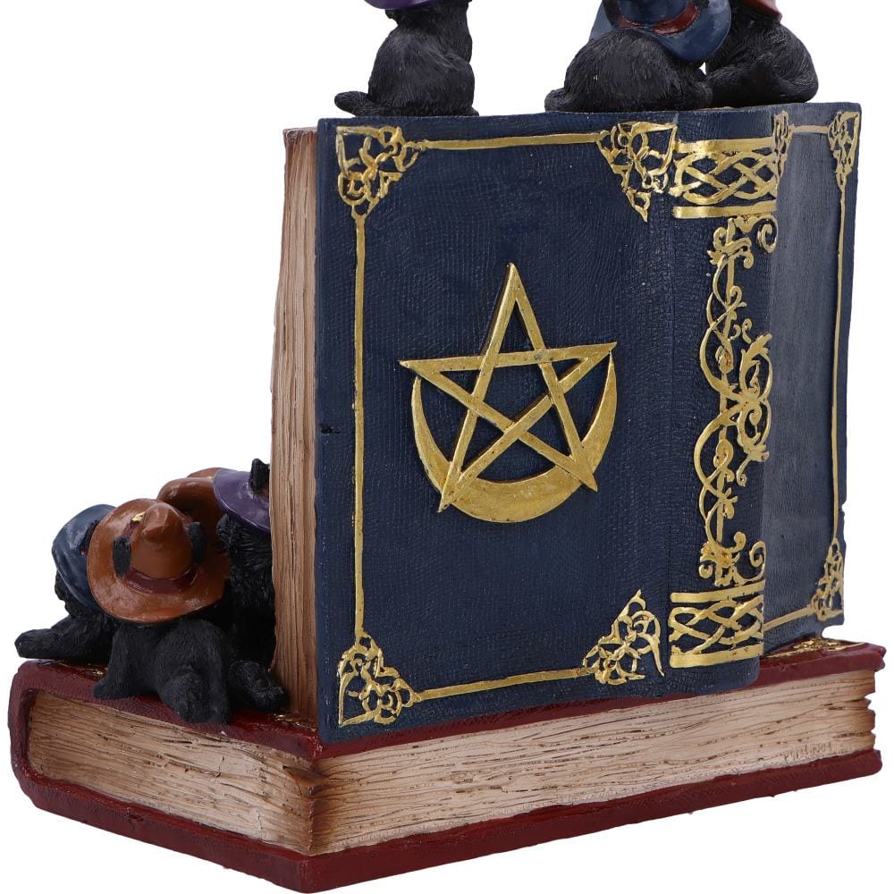NEMESIS NOW COVEN KEEPERS ASSORTED figurica 8012699990045