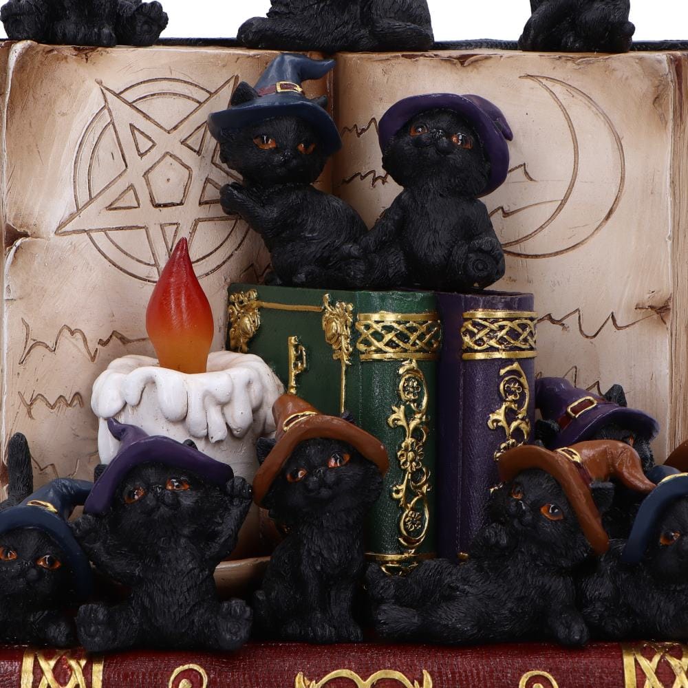 NEMESIS NOW COVEN KEEPERS ASSORTED figurica 8012699990045