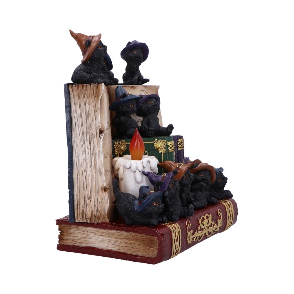 NEMESIS NOW COVEN KEEPERS ASSORTED figurica 8012699990045