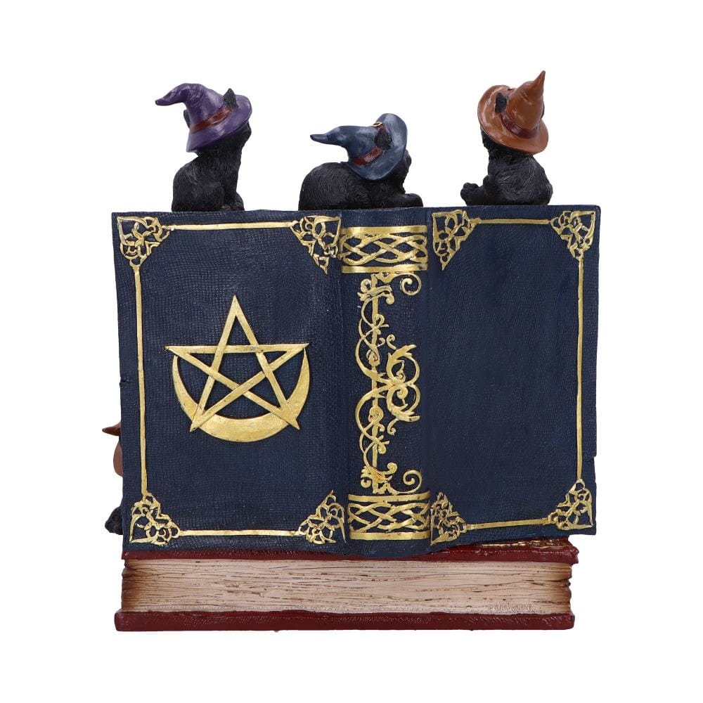 NEMESIS NOW COVEN KEEPERS ASSORTED figurica 8012699990045