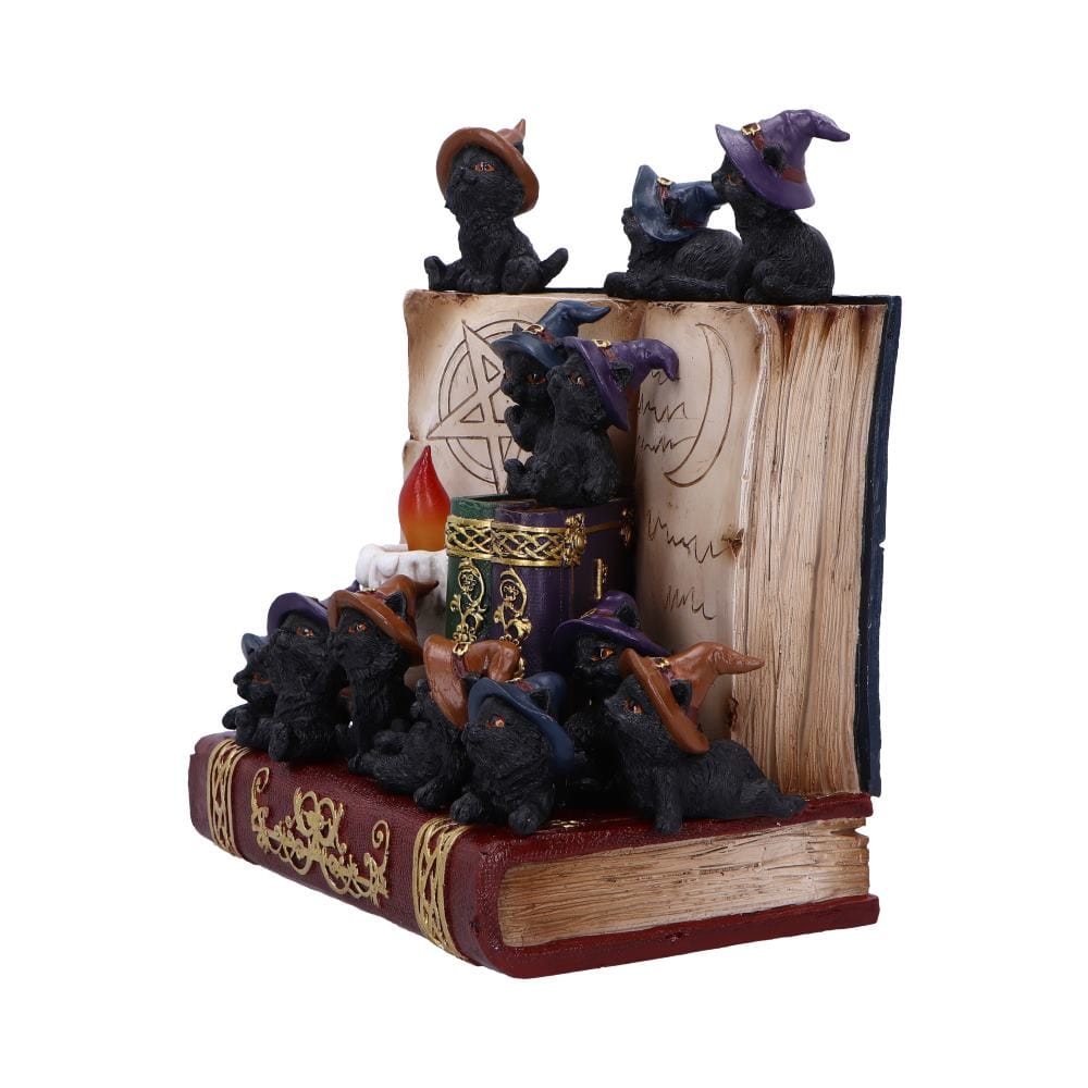 NEMESIS NOW COVEN KEEPERS ASSORTED figurica 8012699990045