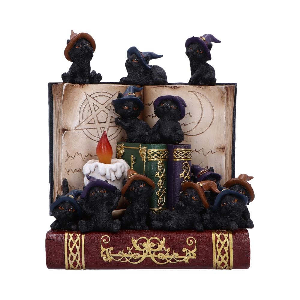 NEMESIS NOW COVEN KEEPERS ASSORTED figurica 8012699990045