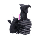 NEMESIS NOW CULT CUTIES CURIOUS CAULDRON figura 801269158651