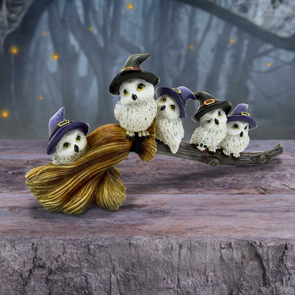 NEMESIS NOW FEATHERED BROOMSTICK figura 26CM 801269154318