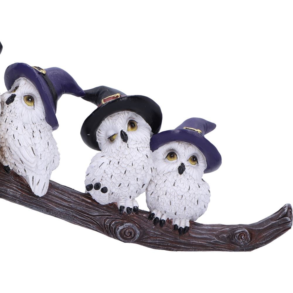 NEMESIS NOW FEATHERED BROOMSTICK figura 26CM 801269154318