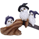 NEMESIS NOW FEATHERED BROOMSTICK figura 26CM 801269154318