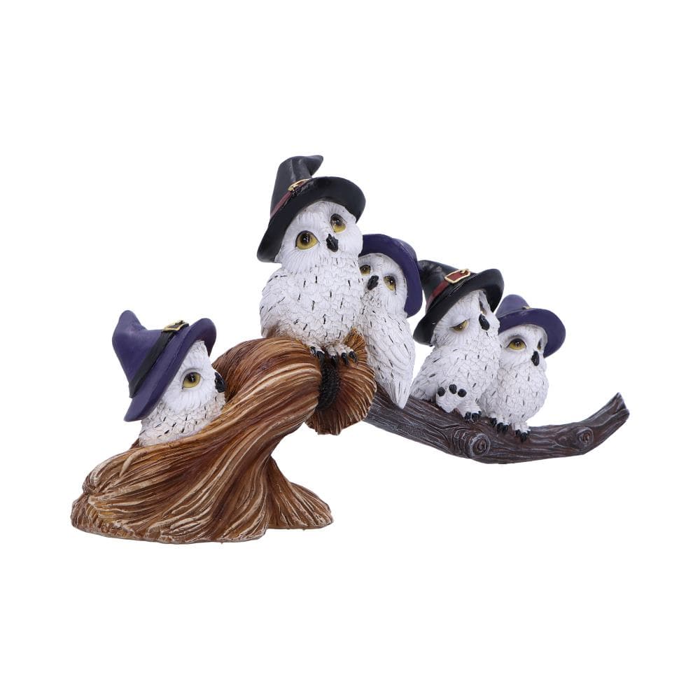 NEMESIS NOW FEATHERED BROOMSTICK figura 26CM 801269154318