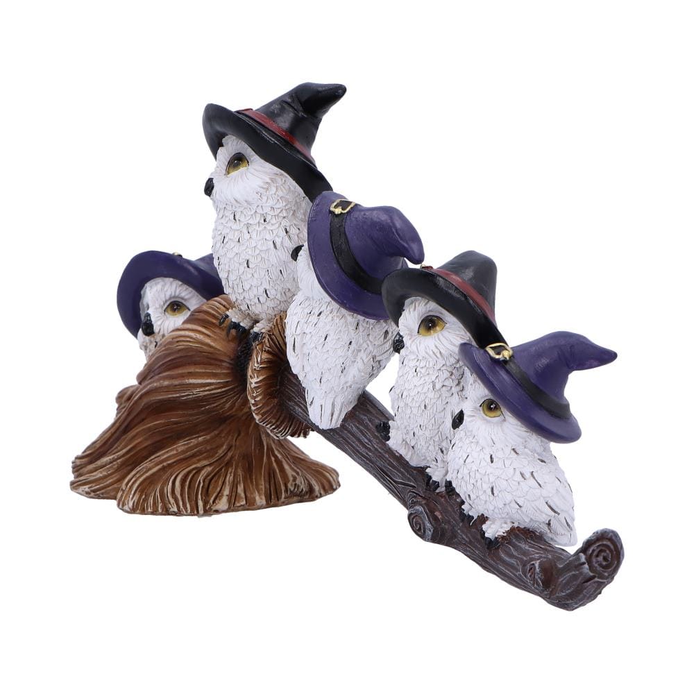 NEMESIS NOW FEATHERED BROOMSTICK figura 26CM 801269154318