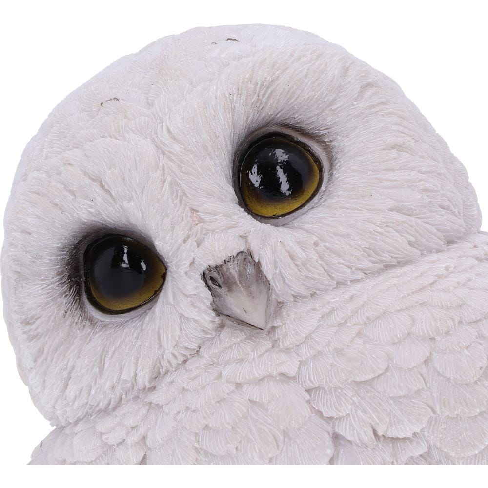 NEMESIS NOW FEATHERS 12,5CM figura 801269142100