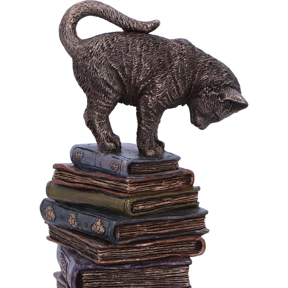 NEMESIS NOW FELINE SCHOLARS 18CM figura 801269155933