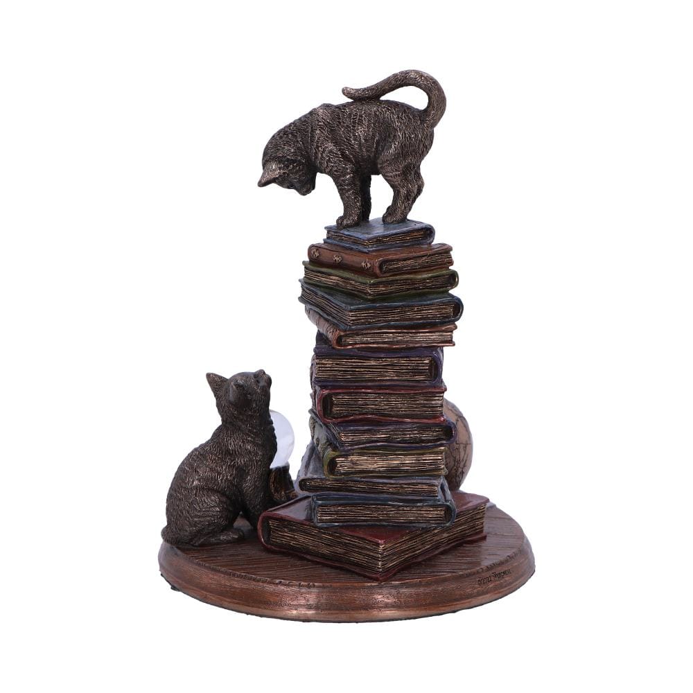NEMESIS NOW FELINE SCHOLARS 18CM figura 801269155933