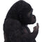 NEMESIS NOW GONE WILD 15.5CM 801269144791