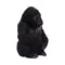 NEMESIS NOW GONE WILD 15.5CM 801269144791