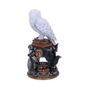 NEMESIS NOW HARRY POTTER HEDWIG KIPEC 22CM 801269148850
