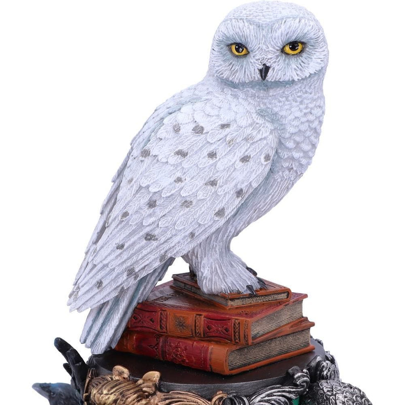 NEMESIS NOW HARRY POTTER HEDWIG KIPEC 22CM 801269148850