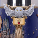 NEMESIS NOW HARRY POTTER HOGWARTS COLLECTIBLE vrč 15.5CM 801269145200