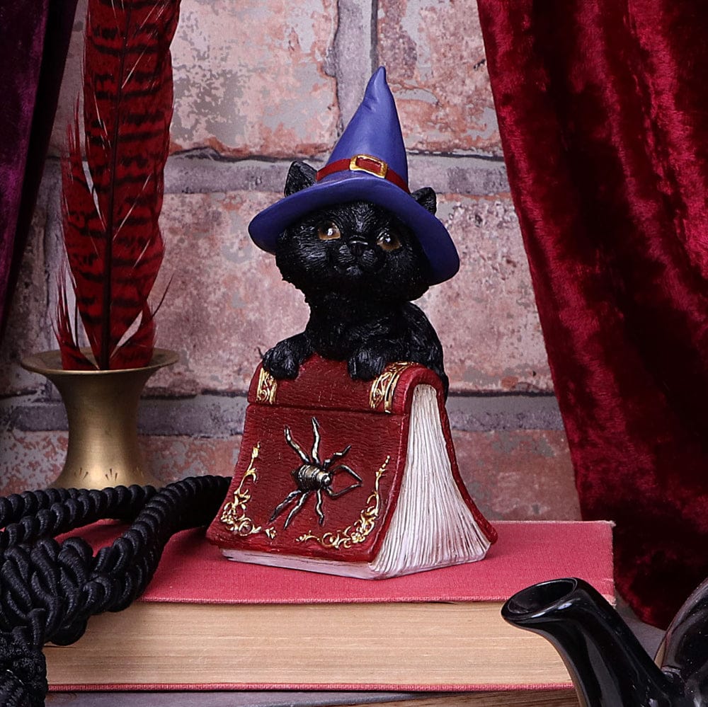 NEMESIS NOW HOCUS 12,7CM figura 801269139384