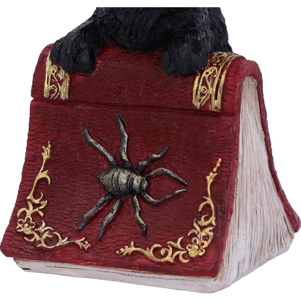 NEMESIS NOW HOCUS 12,7CM figura 801269139384