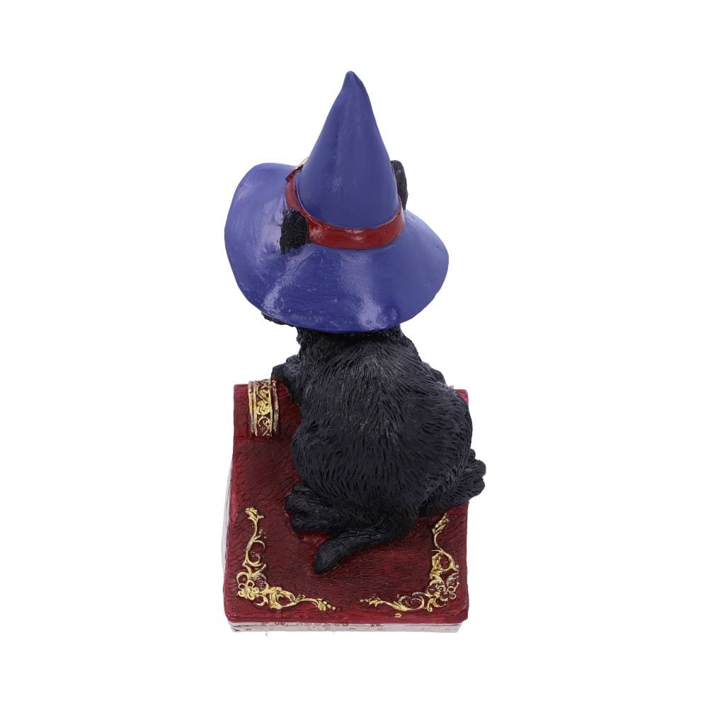 NEMESIS NOW HOCUS 12,7CM figura 801269139384