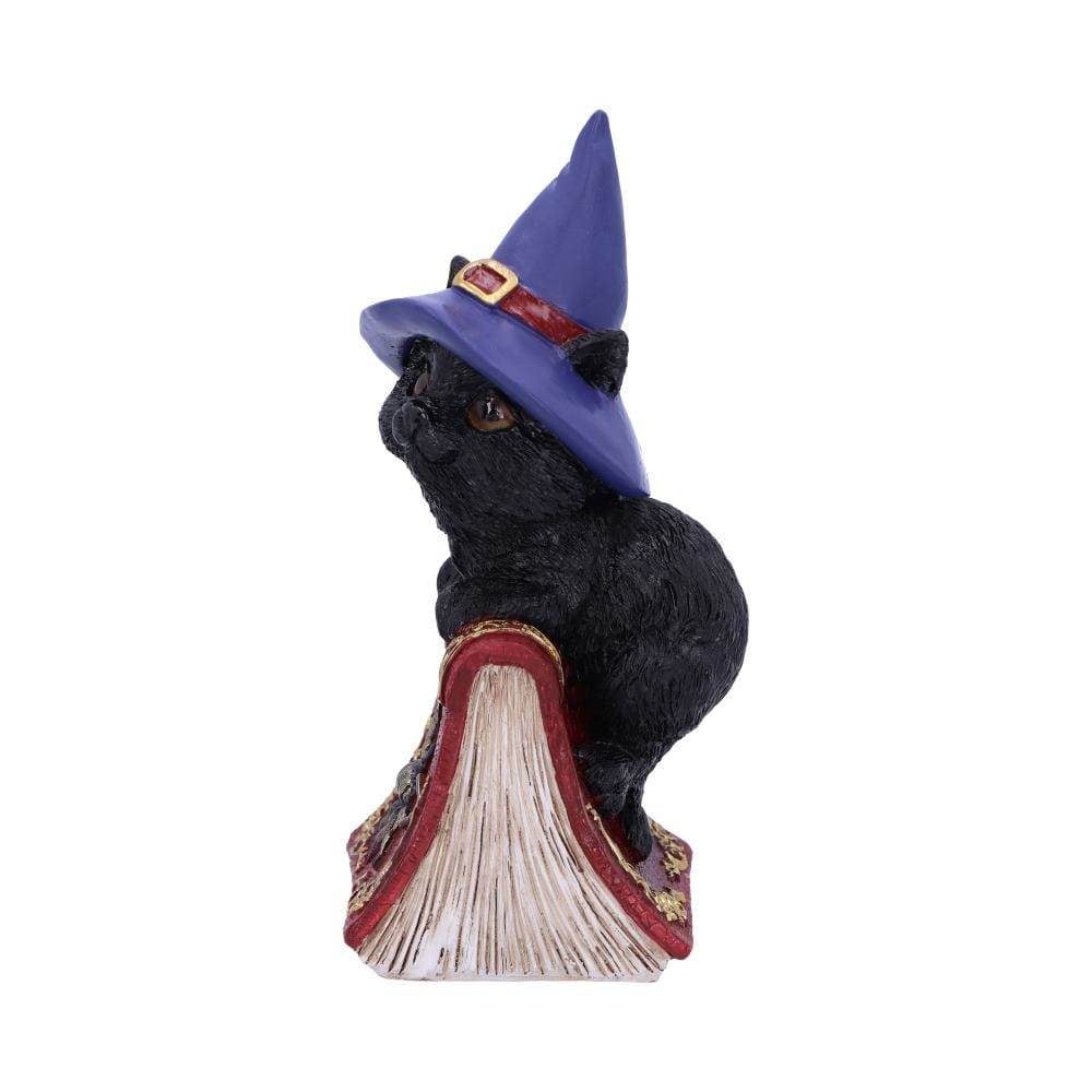 NEMESIS NOW HOCUS 12,7CM figura 801269139384