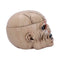 NEMESIS NOW IRON MAIDEN THE TROOPER škatla 18CM 801269137984