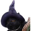 NEMESIS NOW KITTY'S GRIMOIRE (GREEN) 8,2CM figura 801269144487