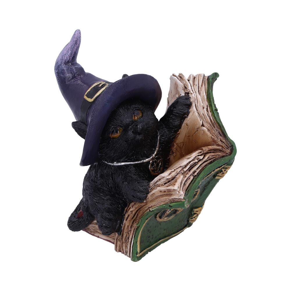 NEMESIS NOW KITTY'S GRIMOIRE (GREEN) 8,2CM figura 801269144487