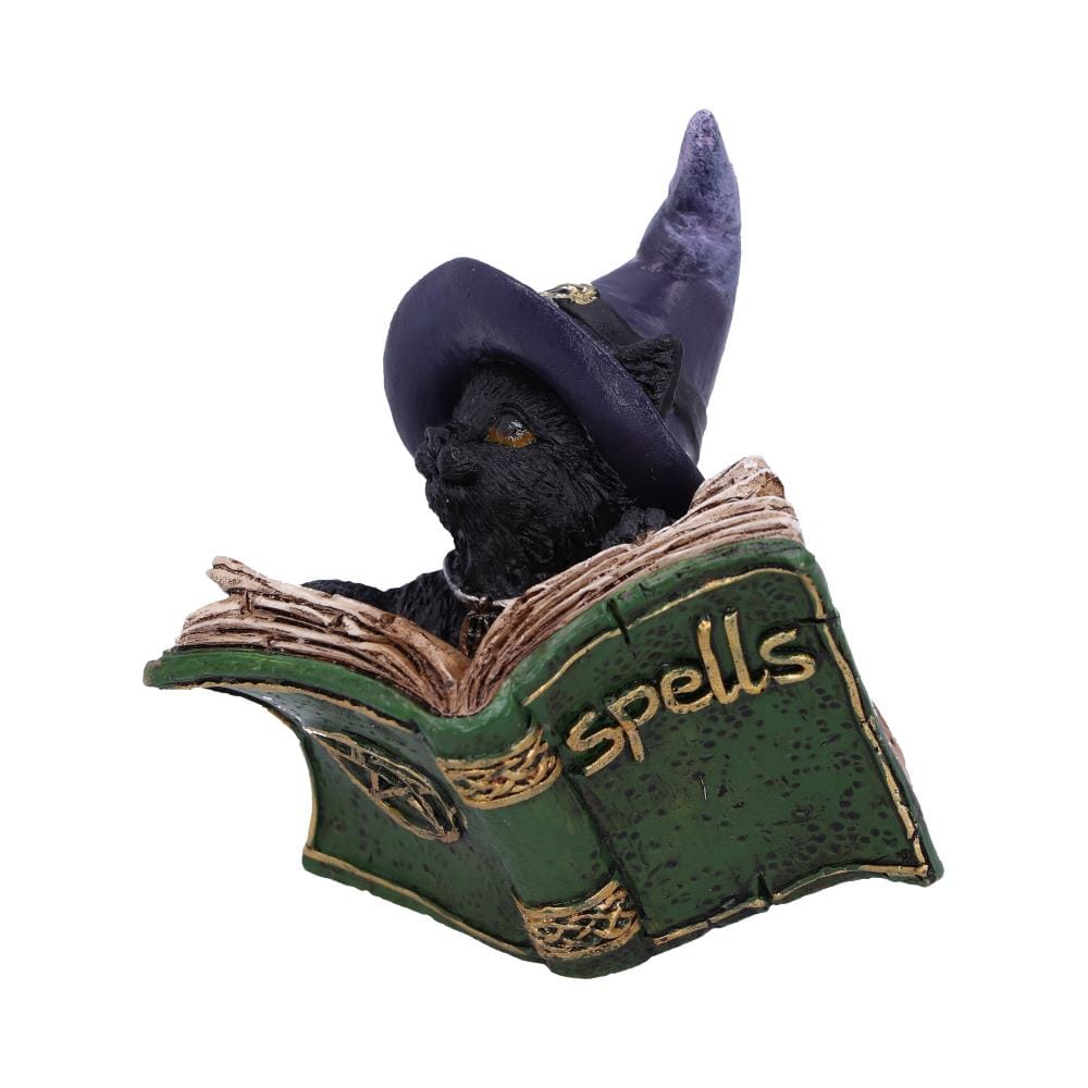 NEMESIS NOW KITTY'S GRIMOIRE (GREEN) 8,2CM figura 801269144487
