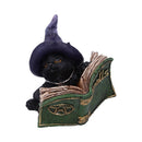 NEMESIS NOW KITTY'S GRIMOIRE (GREEN) 8,2CM figura 801269144487