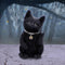 NEMESIS NOW METALLICAT 16.5CM 801269156053