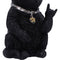 NEMESIS NOW METALLICAT 16.5CM 801269156053