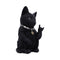 NEMESIS NOW METALLICAT 16.5CM 801269156053