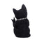 NEMESIS NOW METALLICAT 16.5CM 801269156053