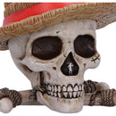 NEMESIS NOW ONE PIECE LUFFY JOLLY ROGER škatla 801269158538