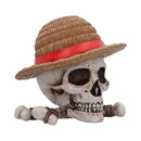 NEMESIS NOW ONE PIECE LUFFY JOLLY ROGER škatla 801269158538