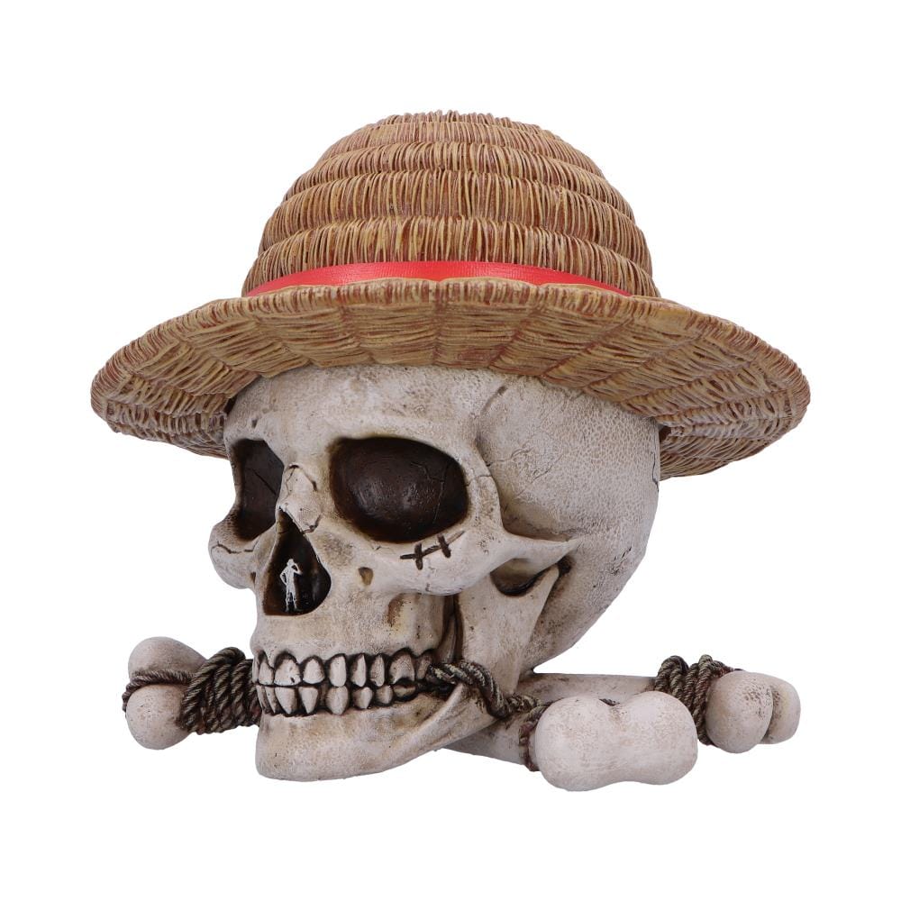 NEMESIS NOW ONE PIECE LUFFY JOLLY ROGER škatla 801269158538