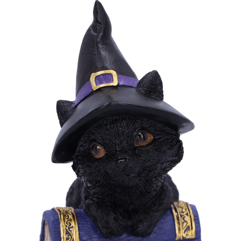 NEMESIS NOW POCUS 12,7CM figura 801269139391