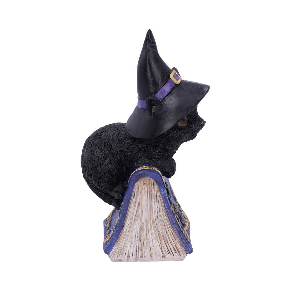 NEMESIS NOW POCUS 12,7CM figura 801269139391