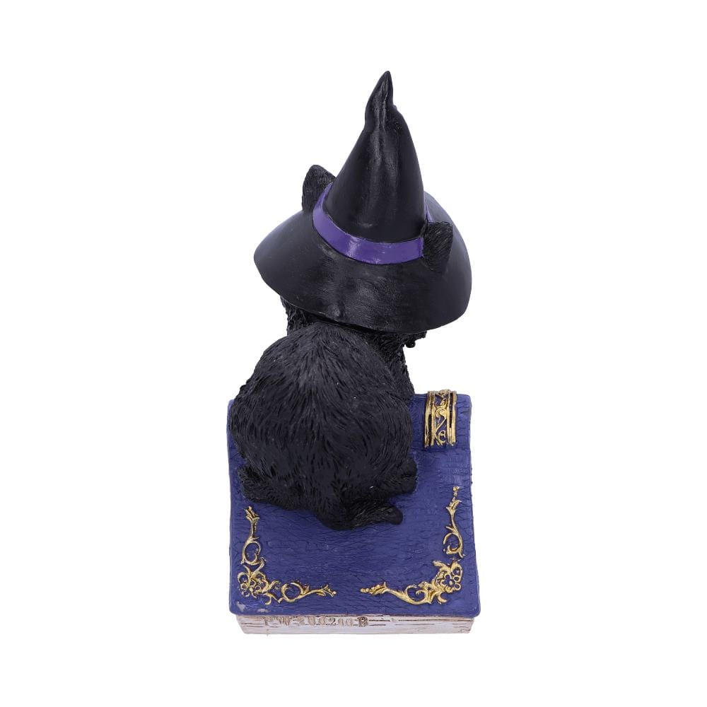 NEMESIS NOW POCUS 12,7CM figura 801269139391