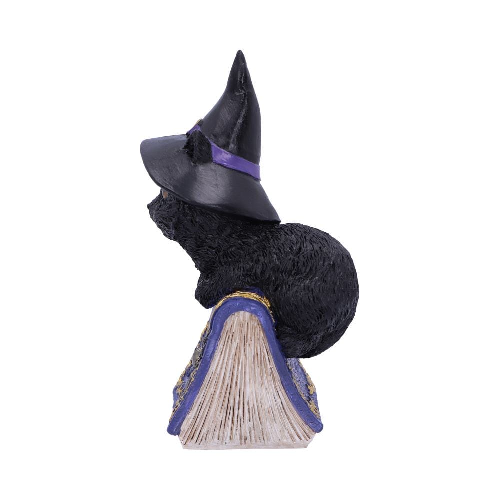 NEMESIS NOW POCUS 12,7CM figura 801269139391